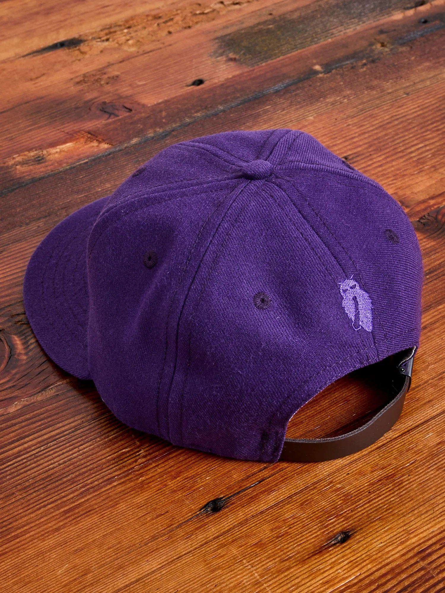 Blue Owl Baseball Cap in Purple