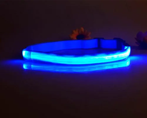 LED Jogging Waist Belt - Blue