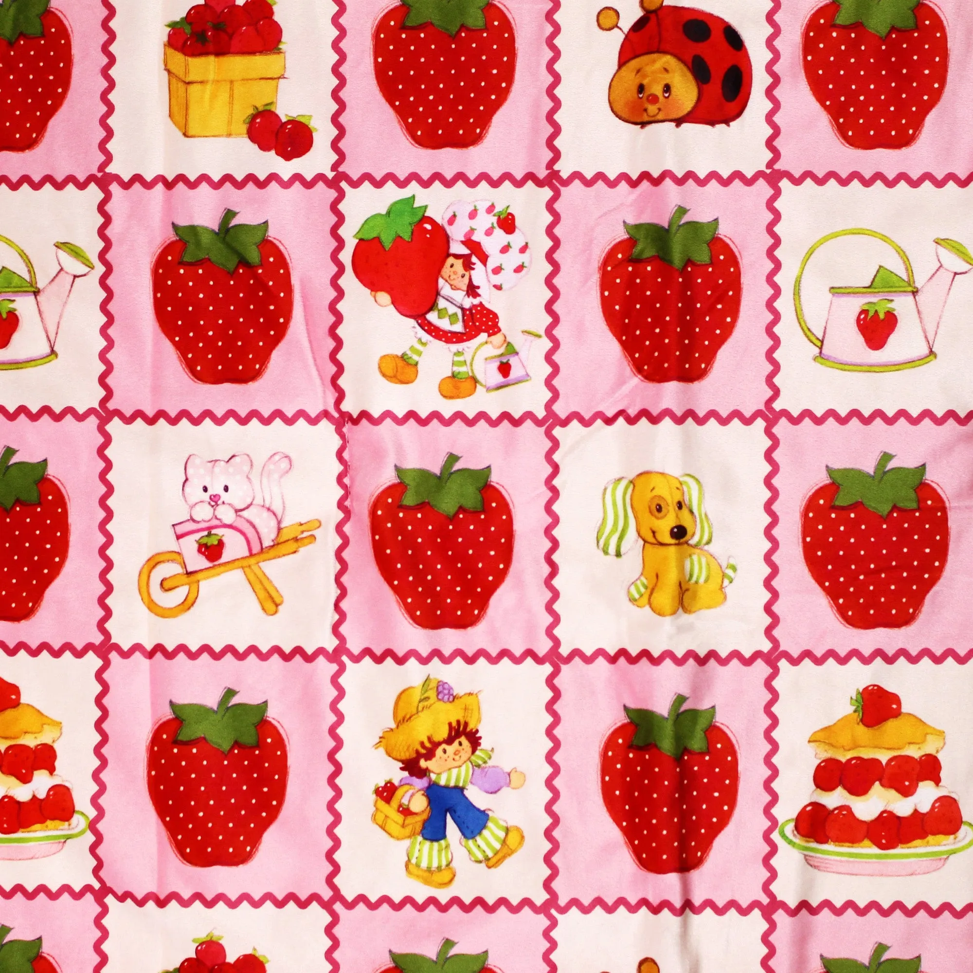 Strawberry Shortcake Blanket