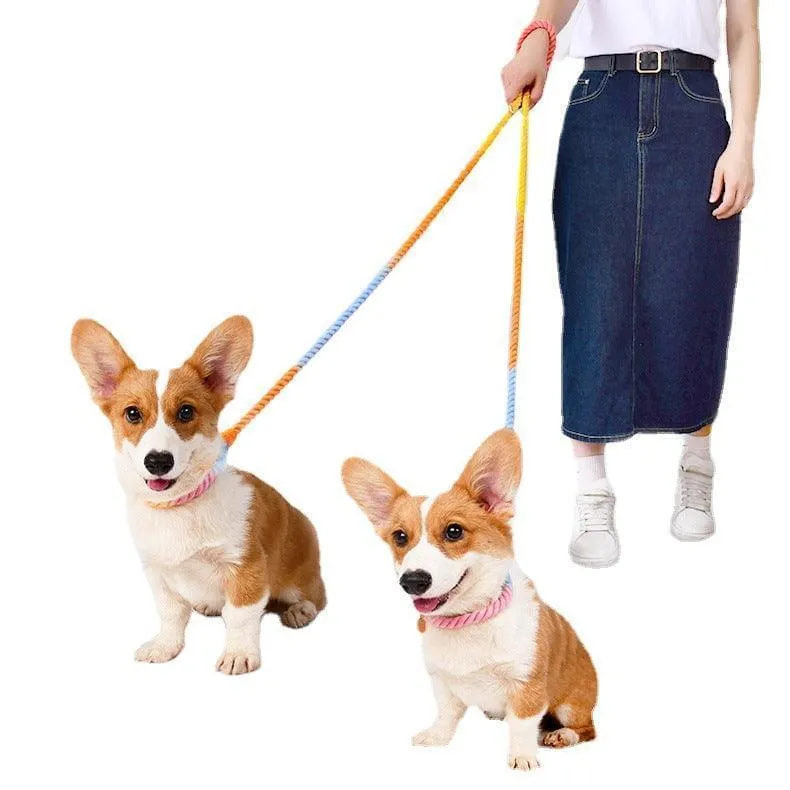 Versatile Hands-Free Dog Walking Kit