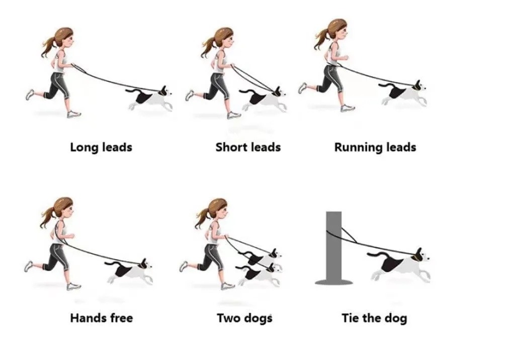 Versatile Hands-Free Dog Walking Kit